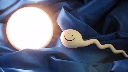 男性因素案例